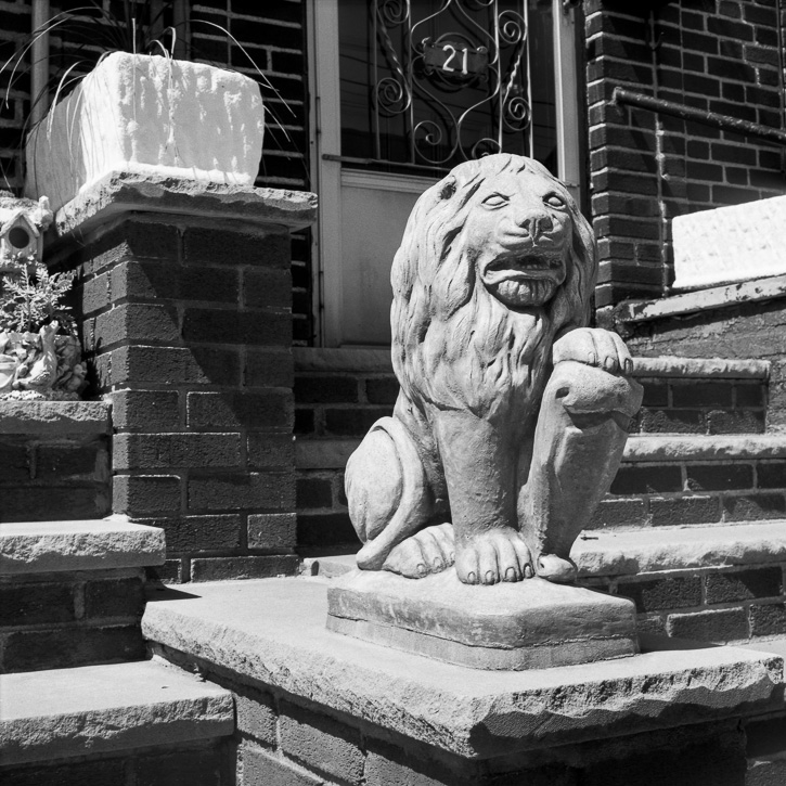 Daniel A. Echevarria Photography | Above the Spill: Photographs of Greenpoint, Brooklyn