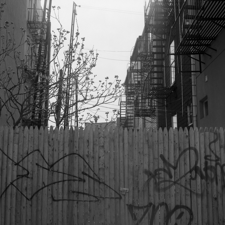 Daniel A. Echevarria Photography | Above the Spill: Photographs of Greenpoint, Brooklyn